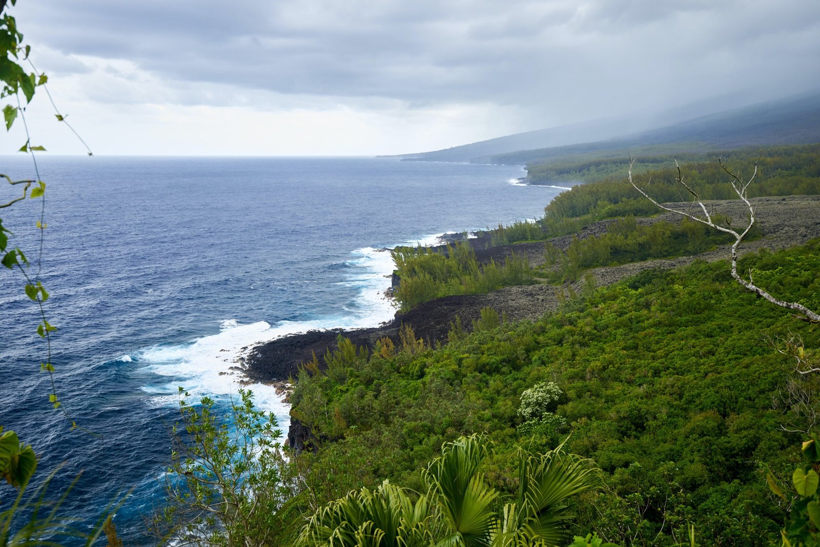 Investir dans l’immobilier à La Réunion grâce à la loi Pinel